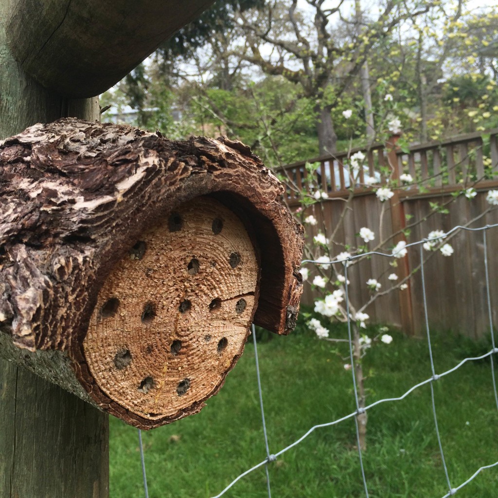 Easy do it your self mason bee house